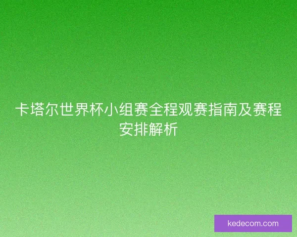卡塔尔世界杯小组赛全程观赛指南及赛程安排解析