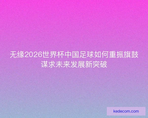 无缘2026世界杯中国足球如何重振旗鼓谋求未来发展新突破