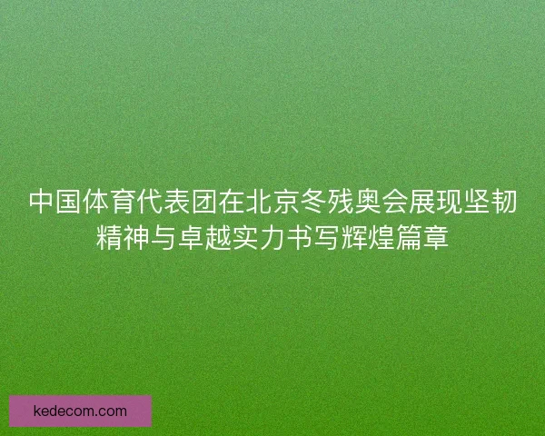 中国体育代表团在北京冬残奥会展现坚韧精神与卓越实力书写辉煌篇章