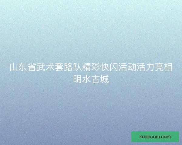 山东省武术套路队精彩快闪活动活力亮相明水古城